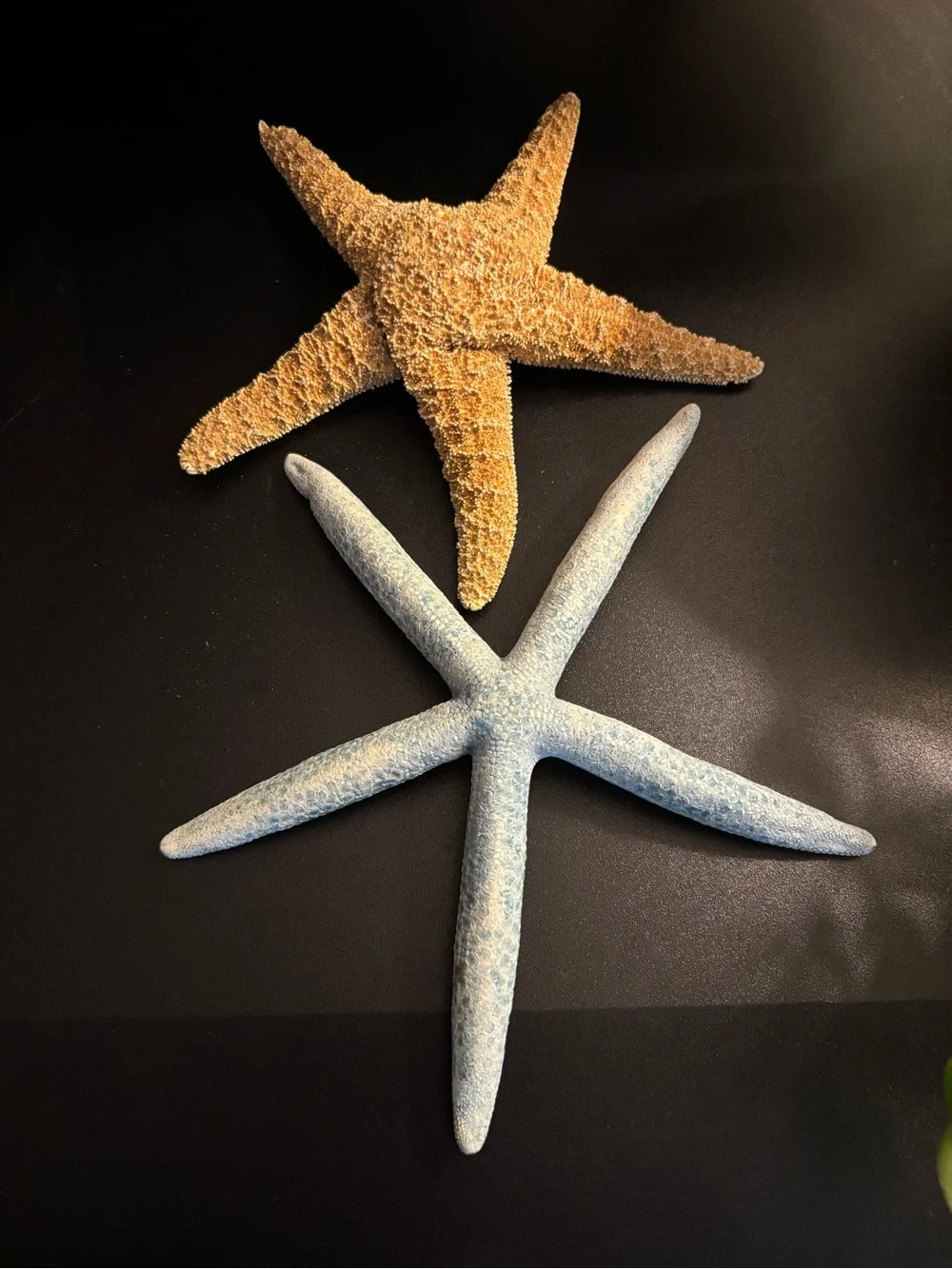 Starfish Pair - Blue & Natural Tan Coastal Accents - Picture 2 of 6